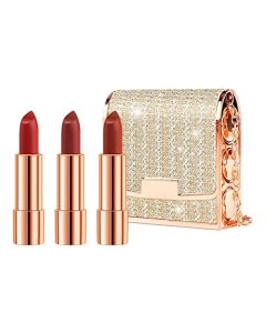 Matte Set 3 Colors Lip Stick with Sliver Chain Bag Package Velvet Lip stick Gift Box Set Waterproof Non-Stick Cup Long Lasting Retractable Red Lipstick Set 3.5gx3 Pcs